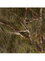 /album/fotogalerie-mramor/rain-forest-green-jpg1/